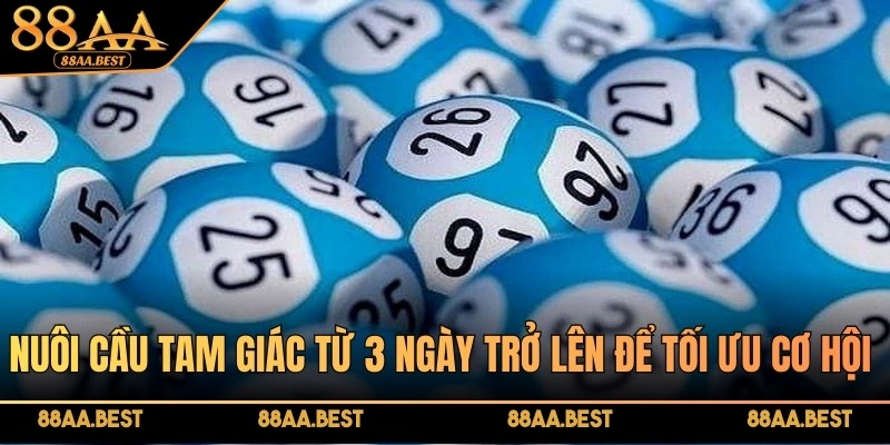 Nuôi cầu tam giác từ 3 ngày trở lên để tối ưu cơ hội thắng lớn